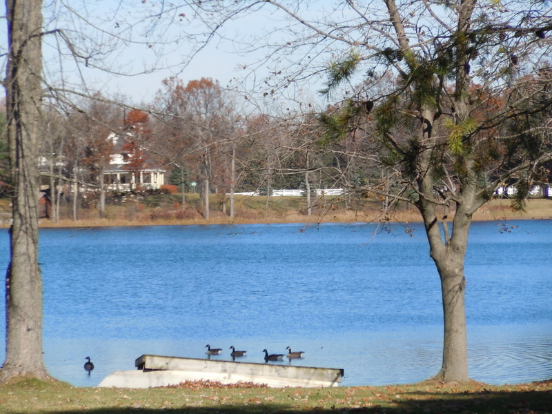 Real Estate Blaine Lake Homes For Sale Livingston County Michigan